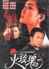 电视剧火玫瑰在线观看,激情燃烧的岁月，在线重温经典剧集  第1张