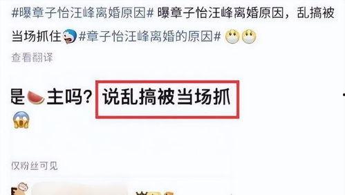 刘大锤爆料婚变视频大全,揭秘娱乐圈夫妻背后的真相  第3张